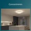Philips Funktional Garnet Deckenleuchte, 30 W, LED, 3100 Produktbild-Vorschau 4