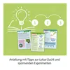 Kosmos 45496906, Experimentier-Set, Botanik, 8 Jahr(e) Produktbild-Vorschau 5