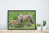 MuchoWow® MuchoWow® Gerahmtes Poster Füchse - Kind - Gras Produktbild-Vorschau 4