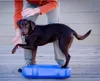 Disco di bilanciamento FitPAWS K9FITbone PVC blu cielo Anteprima dell’immagine prodotto 2
