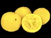 LK Baits Boilies Lukas Krasa Boilies Weltrekord Karpfen Produktbild-Vorschau 2