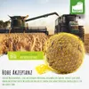 Fepro® Meisenknödel mit Netz, 200 Stück (a 90g = 18 kg), Produktbild-Vorschau 6