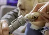 A person is trimming a dog's nails with an electric nail grinder. Podgląd zdjęcia produktu