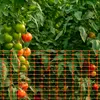 YARDIN Schutznetz 50m Bauzaun Absperrzaun aus Kunststoff, Produktbild-Vorschau 8