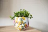 Kolekcja TS – Blumentopf Floral white – 17 x 15 Podgląd zdjęcia produktu 3