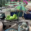 Solarbetriebene Frosch-Gartendekoration, beleuchtete Produktbild-Vorschau 7