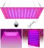 LED-Pflanzenlampe: Vollspektrum mit VEG & BLOOM Produktbild-Vorschau 6