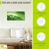 ARTland Leinwandbild Nahaufnahme eines grünen Produktbild-Vorschau 2