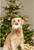 Trixie Hundespielzeug Pinguin weiß/grau Produktbild-Vorschau 3