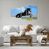 Bild auf Leinwand - Leinwandbild - Schwarzes Pferd Pferd Produktbild-Vorschau 6