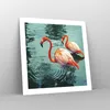 Poster - Poster ohne Rahmen - Rosa Flamingos Wasser - 50x50 Produktbild-Vorschau 7