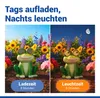 Maximex Solar Gartenfigur Frosch Mod. Blinky Eyes mit LED Produktbild-Vorschau 5