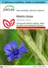 SAFLAX Dárková sada - Modrá chrpa - Centaurea cyanus - Náhled obrázku produktu 1