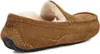 Ugg Ascot M Chestnut - Heren Pantoffel - 1101110-CHE Produktbild-Vorschau 12