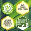 Substral Nahrung Grünpflanzendünger 500 ml Produktbild-Vorschau 6
