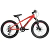 Goetze Sigma 20" – dětské MTB kolo, hliníkový rám 11", Náhled obrázku produktu 2