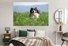 MuchoWow® Poster Ein Berner Sennenhund im hohen Gras Produktbild-Vorschau 4