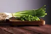 SAFLAX - BIO - Frühlingszwiebel - Japanische Ishikura - 150 Produktbild-Vorschau 7