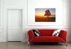 Wallario selbstklebendes Poster - Sonnenaufgang über der Produktbild-Vorschau 4