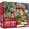 ADAMIGO Pexeso Grzyby Polski 07912 Náhled obrázku produktu 6