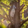 Relaxdays Nistkasten für Halbhöhlenbrüter, Garten & Produktbild-Vorschau 3