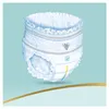 Pampers Premium Care, Größe 3 Midi, 48 Windeln Produktbild-Vorschau 3