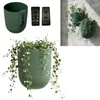 Pot de fleurs suspendu, support mural pour plantes, pot de Voir les images du produit 1