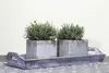 Thymus vulgaris, Echter Thymian, aromatisch, ca. 9x9 cm Produktbild-Vorschau 3