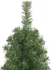 vidaXL Sztuczna choinka smukła ze stojakiem zielona 120 cm Podgląd zdjęcia produktu 3