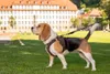CURLI Postroj pro psy se sponou Air-Mesh Black M, 6-9 kg Náhled obrázku produktu 16