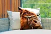 MuchoWow® Outdoor Kissen - Schottisches Hochlandrind - Kopf Produktbild-Vorschau 3