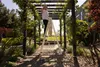 A person is standing on a ladder in a garden setting. Anteprima dell’immagine prodotto