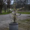 Guirlande lumineuse LED, modèle "Dew Drop Micro", pour Voir les images du produit 5