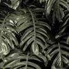 Coloray Fototapete 360x250 cm Vlies-Fototapete - Monstera Produktbild-Vorschau 2