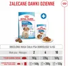 Royal Canin Medium Junior - 4 kg Produktbild-Vorschau 11