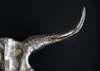 Eindrucksvoller Deko Schädel MATADOR Longhorn Skull massive Produktbild-Vorschau 4
