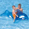 Reittier Kleiner Delfin 152cm mit Griff Produktbild-Vorschau 19