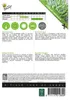 Estragon (Russisch) | Estragonszaad van Buzzy Seeds Productafbeelding-voorbeeld 3