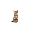 Royal Canin Feline Kitten Sterilised - 2 kg Podgląd zdjęcia produktu 5