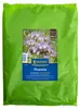 Kiepenkerl Gründünger Saatgut Phacelia 1 kg für 250 m² Produktbild-Vorschau 1
