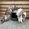 Katzenklo Flower XXL, verborgenes Katzenklo (Anthrazit) Produktbild-Vorschau 2