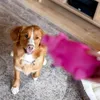 Giocattolo per cani Nobby in lattice di maiale 20 cm Anteprima dell’immagine prodotto 5