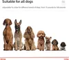 Hundehalsbänder,Stabiles und einfach zu bedienendes Produktbild-Vorschau 5