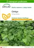 SAFLAX - Ginkgo - 4 Nasiona - Z podłożem uprawowym wolnym Podgląd zdjęcia produktu 1