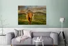 MuchoWow® Poster Schottischer Highlander - Gras - Berg Produktbild-Vorschau 5
