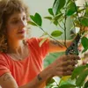Fiskars Set de ciseaux pour le soin des plantes avec Voir les images du produit 12
