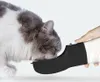 A cat is drinking from a portable water bottle held by a person's hand. Náhľad obrázku produktu