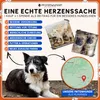 PFOTENWUNDER® 9-in-1 Agility Set Hunde groß + 21 Min. Produktbild-Vorschau 9