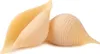 Conchiglioni Giganti IGP, Trafilatura al Bronzo, 500g, La Produktbild-Vorschau 2