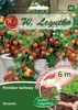 Maskotka z nasion pomidora 6m wstążka - W.Legutko Podgląd zdjęcia produktu 1